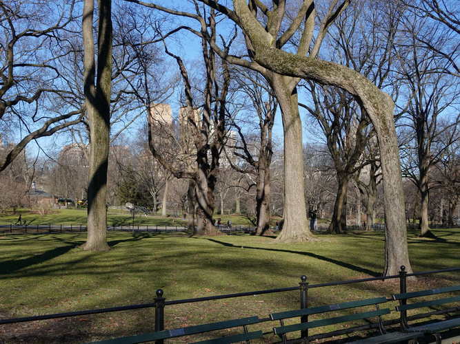 NYC_2024-02-03 09-49-21_RX_06927